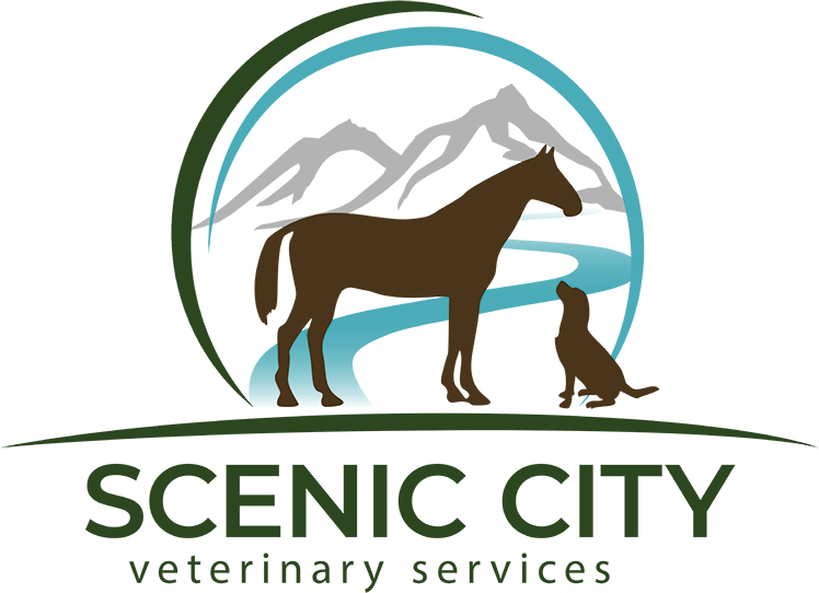 Scenic City Veterinary Services